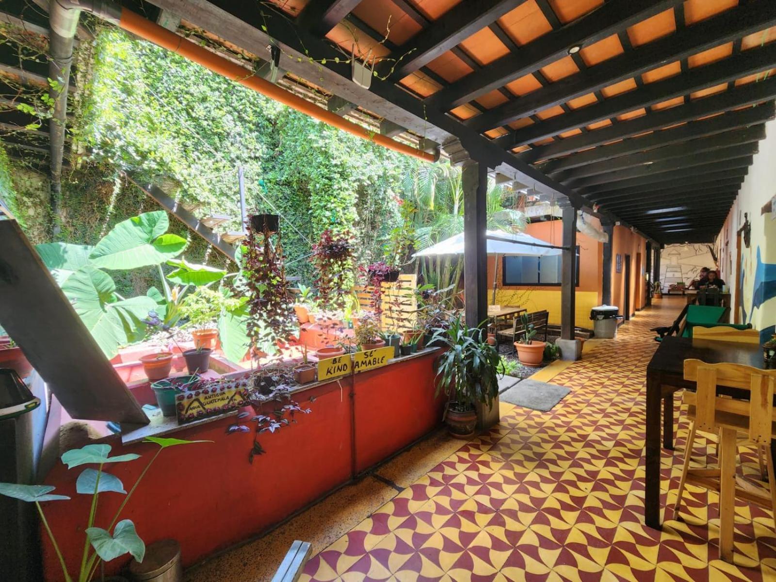 Amura Hostal Antigua Εξωτερικό φωτογραφία